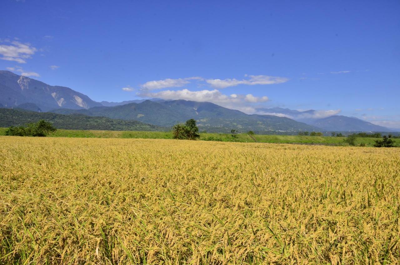 八畝田 Bamutian Farmland 8 Mu Διαμέρισμα Yuli Εξωτερικό φωτογραφία